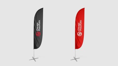 Flags example.