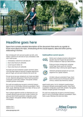 Second option for a single page flyer with one image and content.