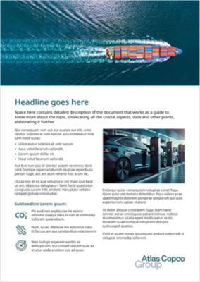 One option of a single page flyer with two images, content, and a few icons.