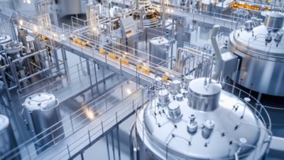 Large-scale food processing plant with automated machinery