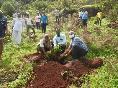 Gawdewadi Plantation