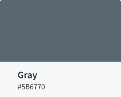 Primary interface color gray