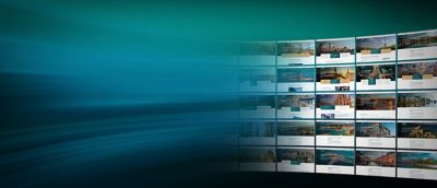 Screenshots of local Group websites against a teal gradient background.