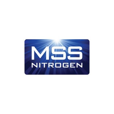 MSS Logotype.