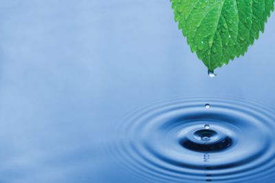 Green leaf with splashing water drops.