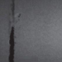 paper defect web-tear