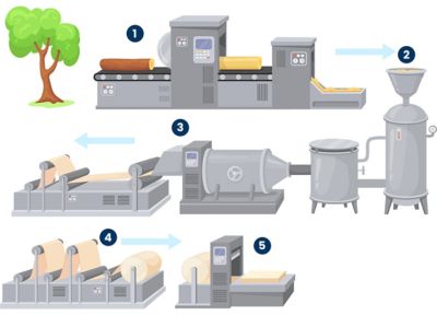 A diagram showing how tree lumber is made into pulp and then processed into paper