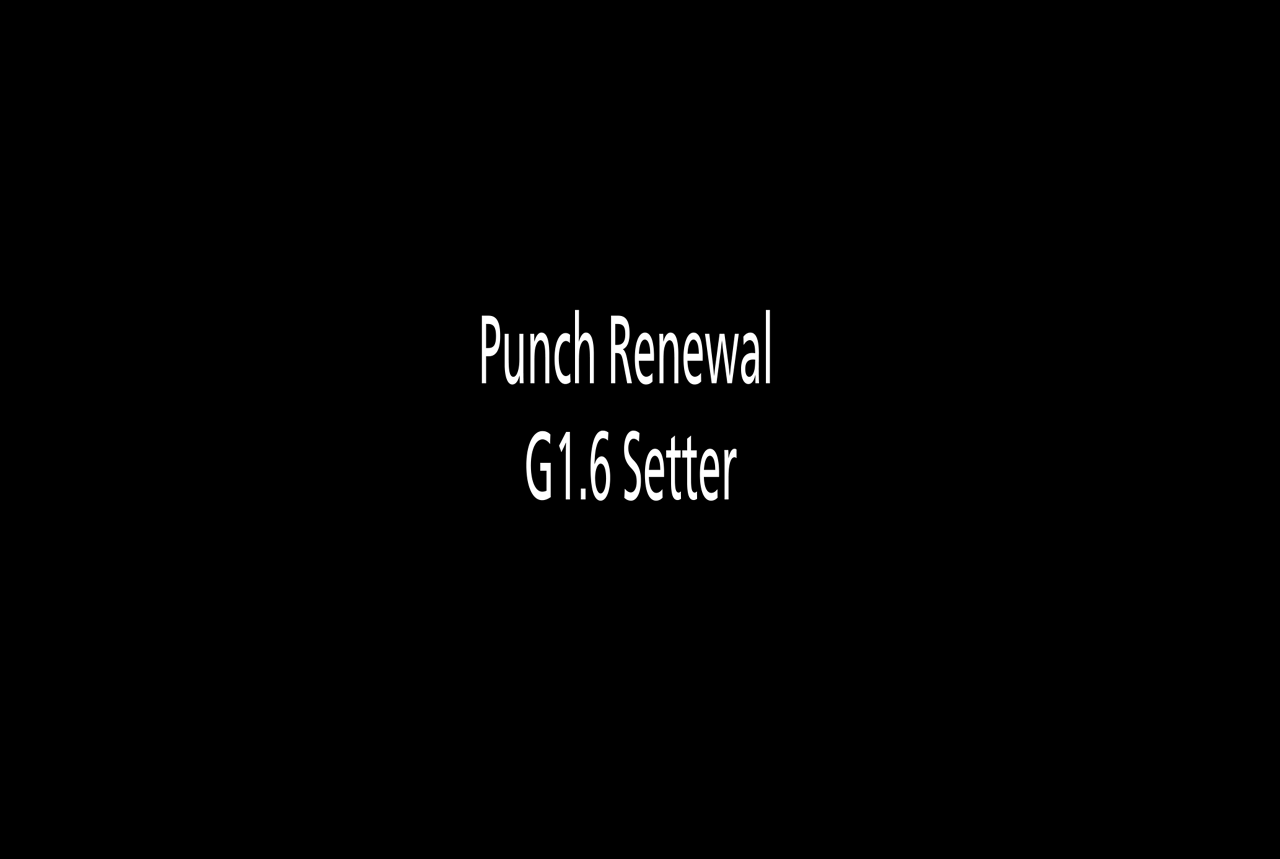 Punch Renewal