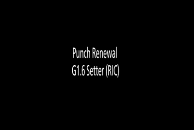 Punch Renewal RIC