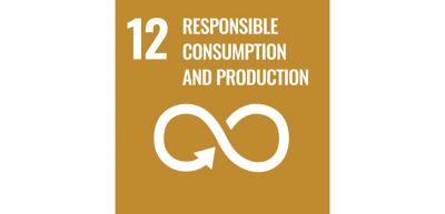 SDG icon - responsible consumption and production 