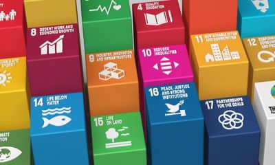 The UN sustainability development goals icons.