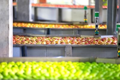 Processing of apples