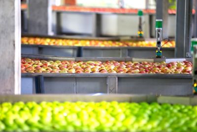 Processing of apples