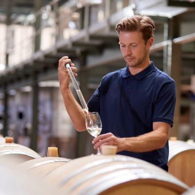 Man checking wine in the wine making process