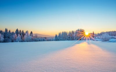 winter landscape